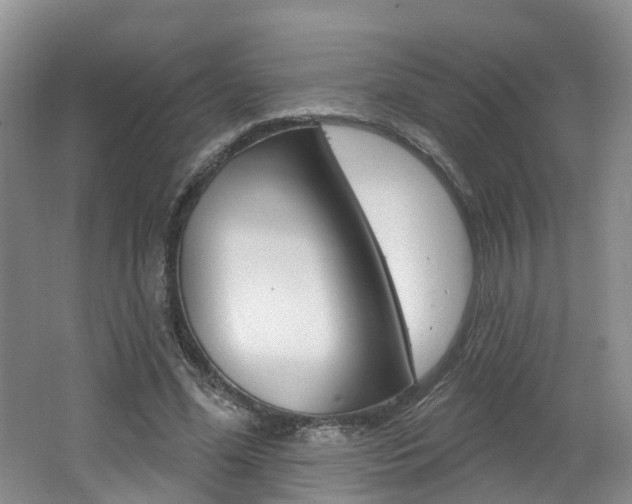X0000062140588200512091019