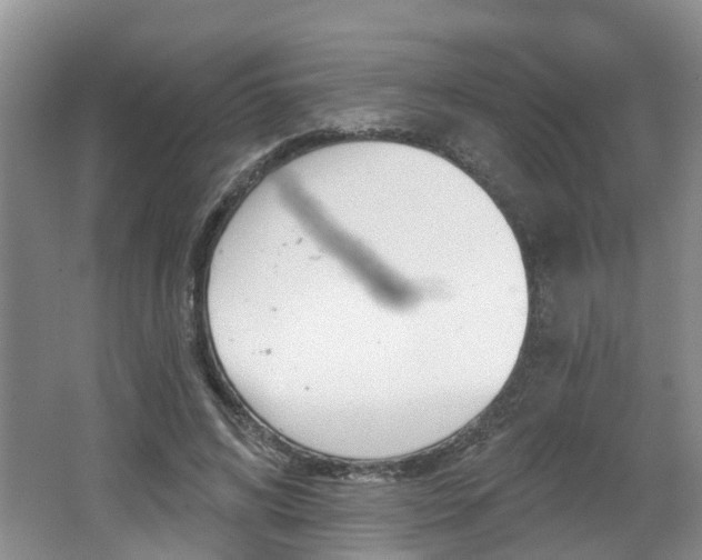 X0000062140592200512091019