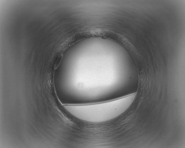 X0000062140593200512091019