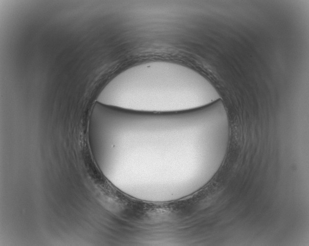 X0000062140594200512091019