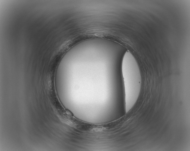 X0000062140595200512091019