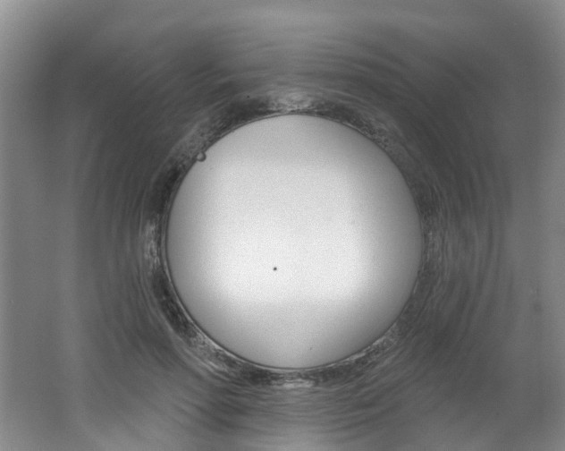 X0000062140598200512091019