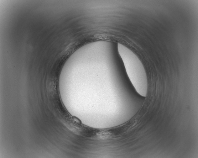X0000062140603200512091019