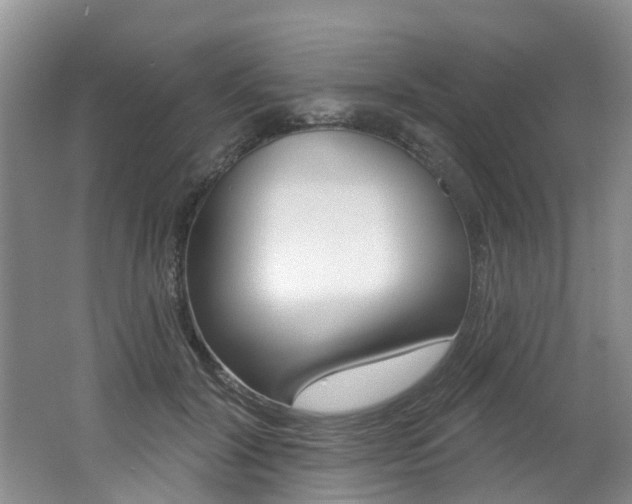 X0000062140604200512091019