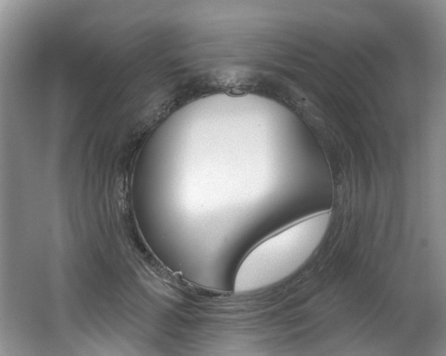 X0000062140605200512091019