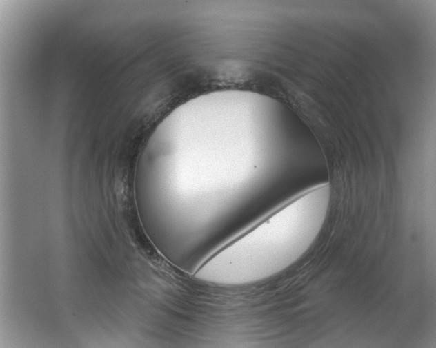 X0000062140608200512091019