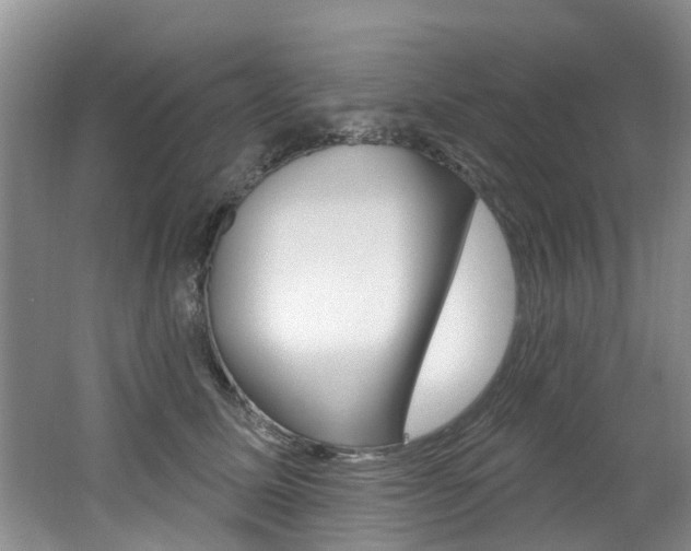 X0000062140611200512091019