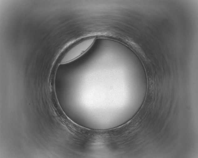 X0000062140628200512091018