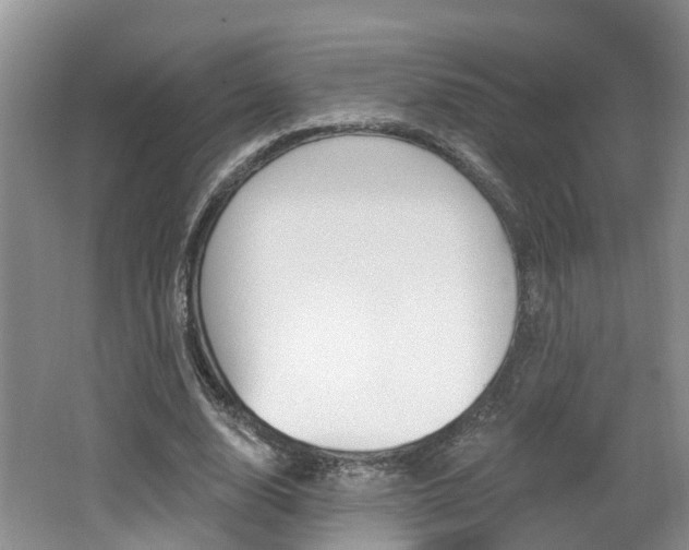 X0000062140632200512091018