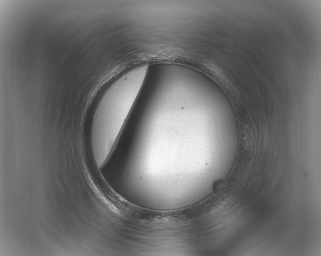 X0000062140634200512091018