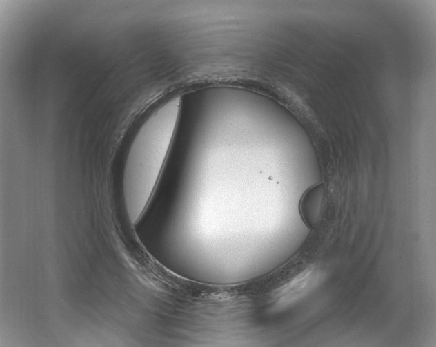X0000062140635200512091018