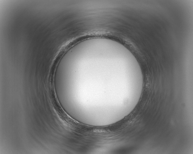 X0000062140636200512091018