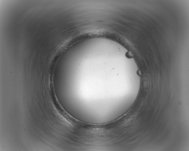 X0000062140637200512091018
