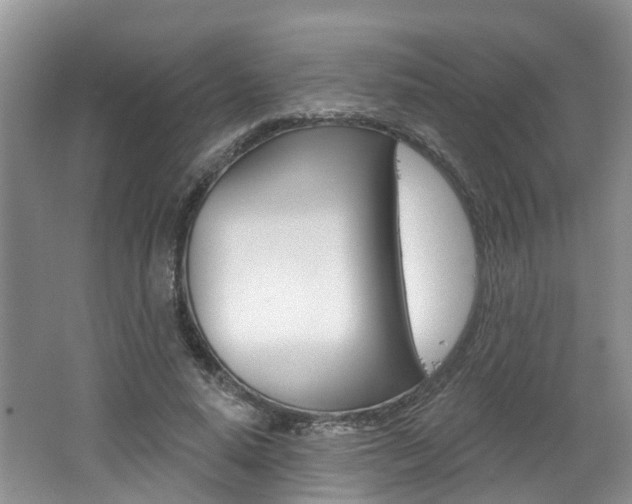 X0000062140640200512091018