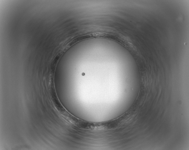 X0000062140645200512091018