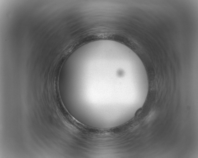 X0000062140646200512091018