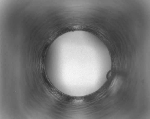 X0000062140651200512091018