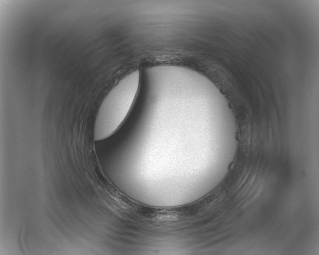 X0000062140653200512091018