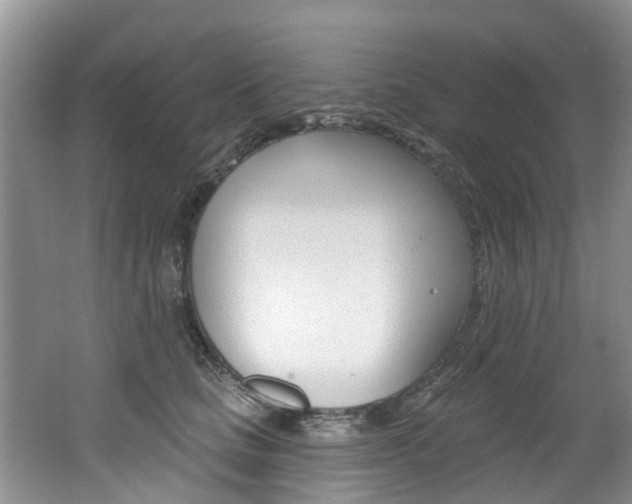 X0000062140661200512091018