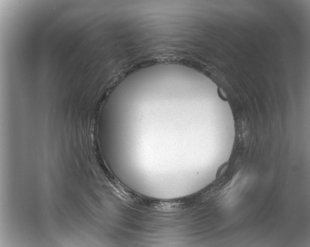 X0000062140664200512091018