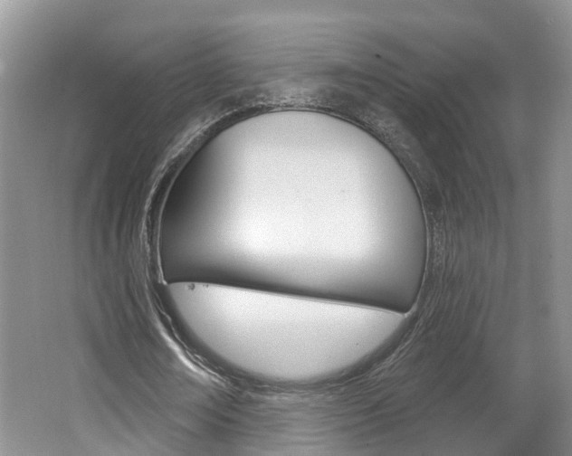 X0000062140674200512091018
