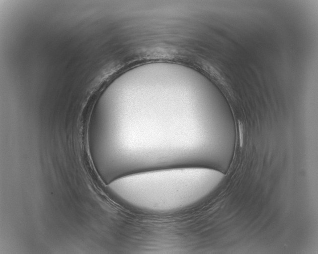 X0000062140675200512091018
