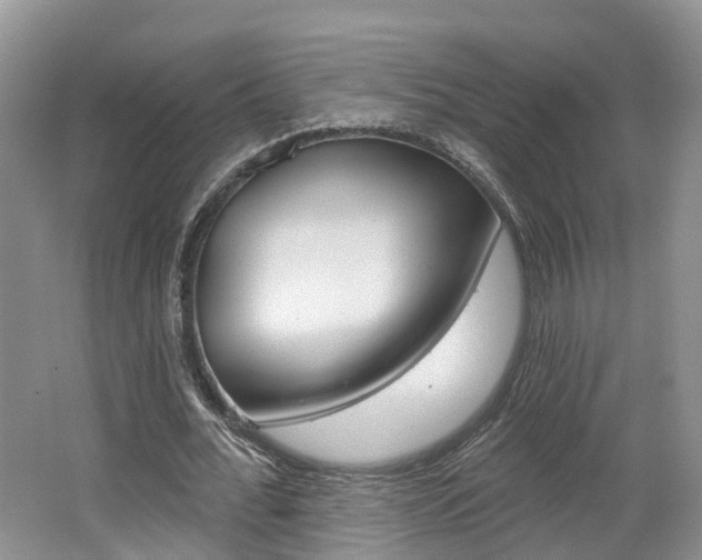X0000062140676200512091018
