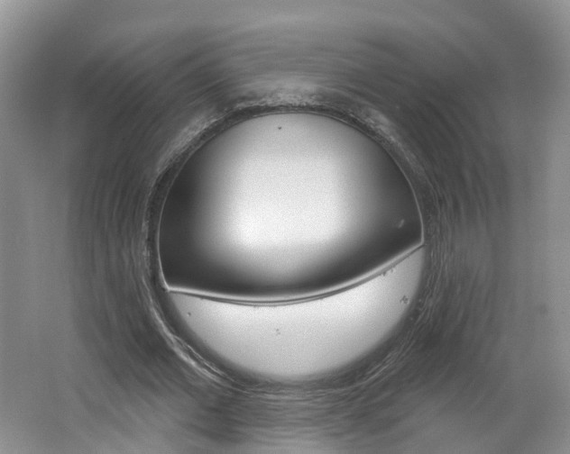 X0000062140677200512091018