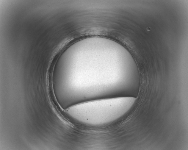 X0000062140678200512091017