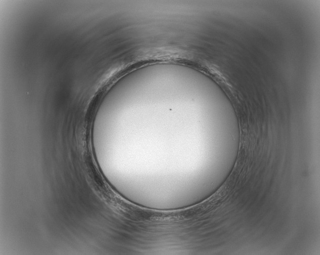 X0000062140679200512091017