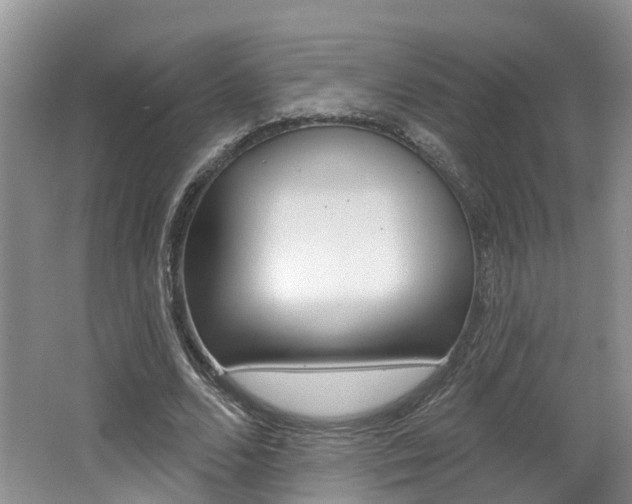 X0000062140680200512091017