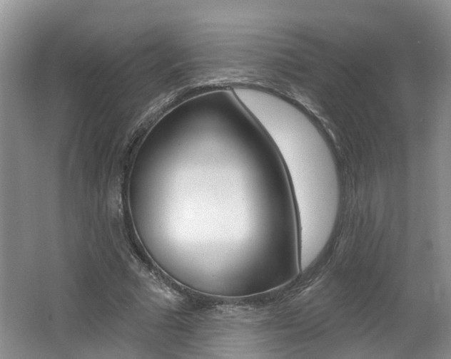 X0000062140681200512091017