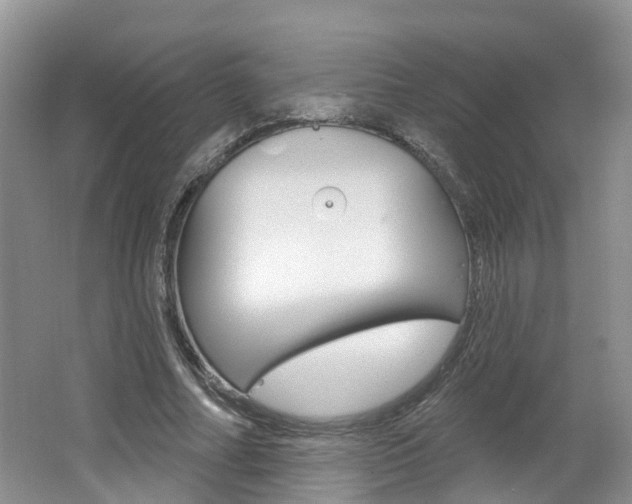 X0000062140682200512091017