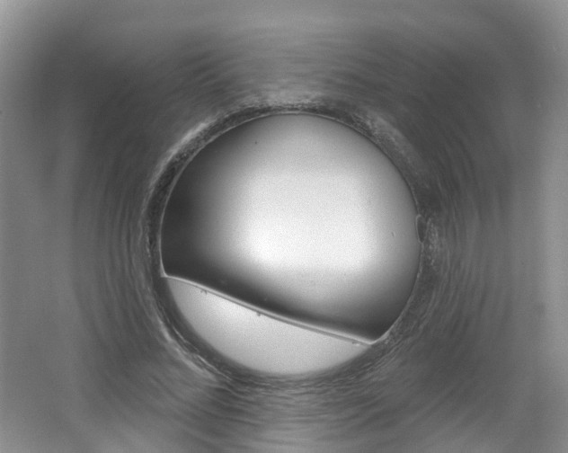 X0000062140684200512091017