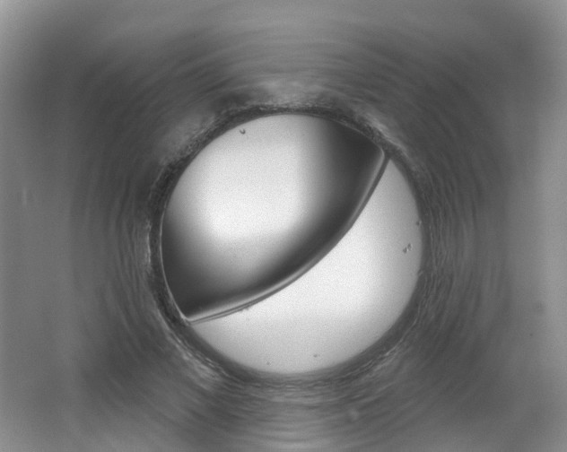 X0000062140685200512091017