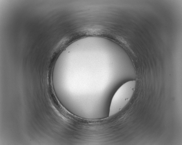 X0000062140686200512091017
