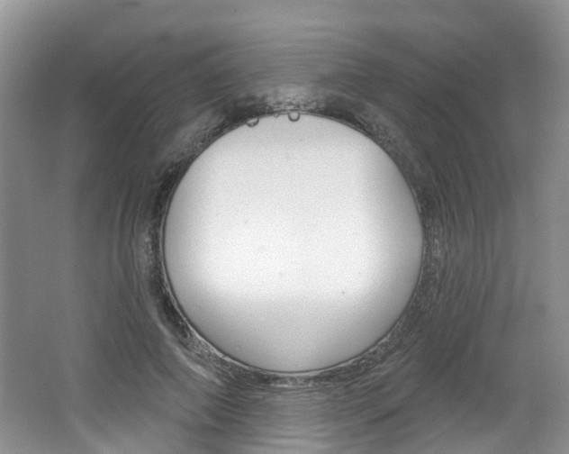 X0000062140690200512091017