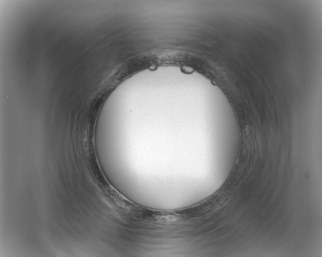 X0000062140698200512091017