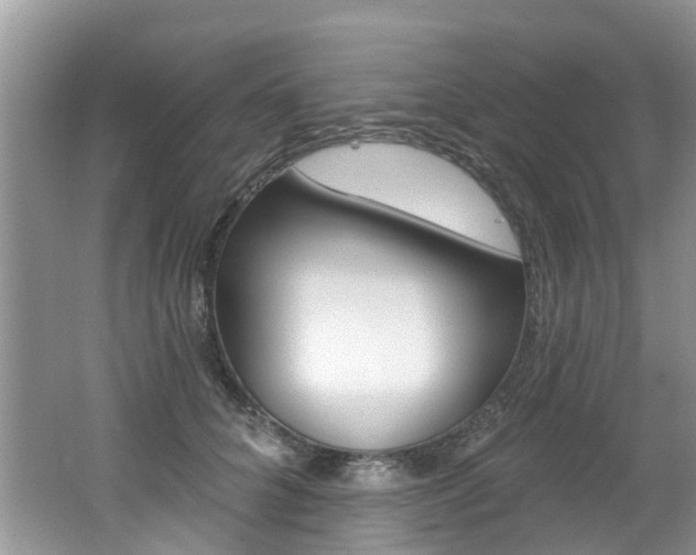 X0000062140704200512091017