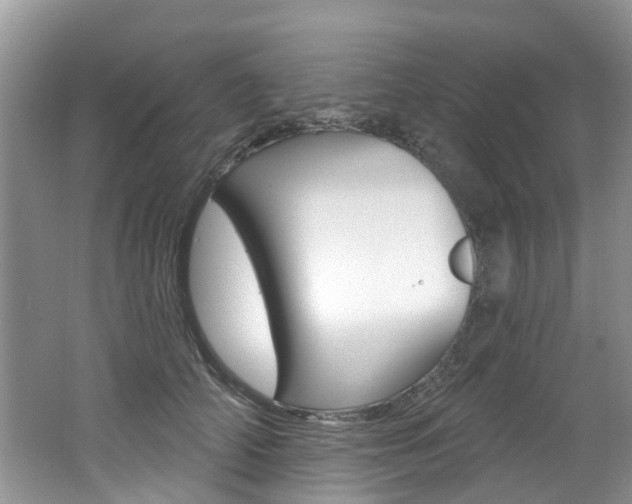 X0000062140706200512091017
