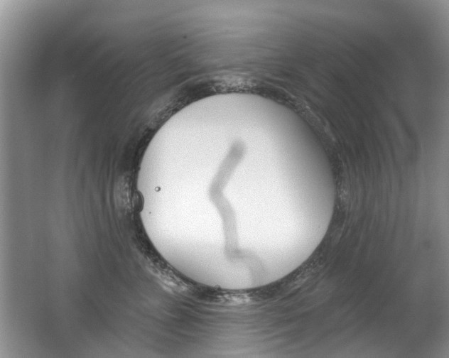 X0000062140715200512091017