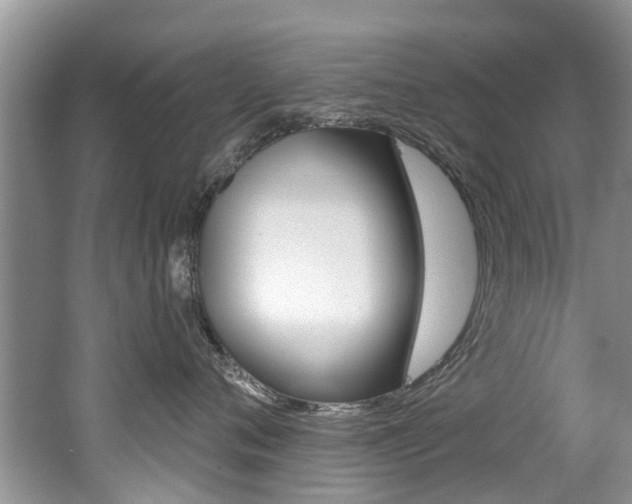 X0000062140720200512091017