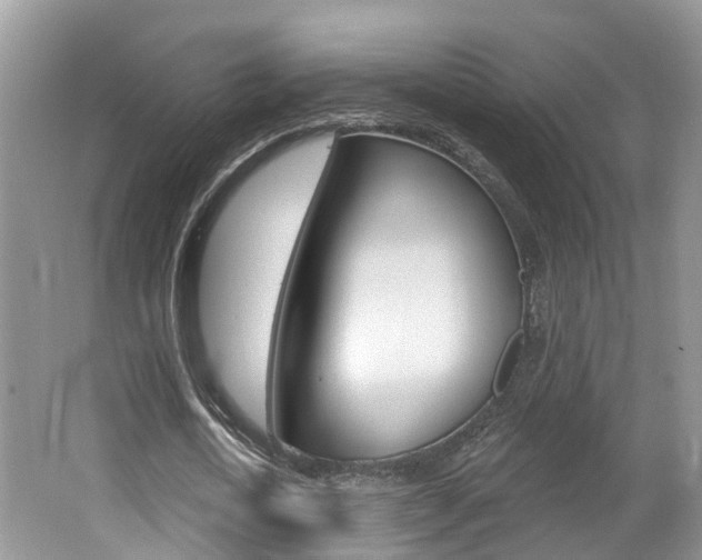 X0000062140722200512091016