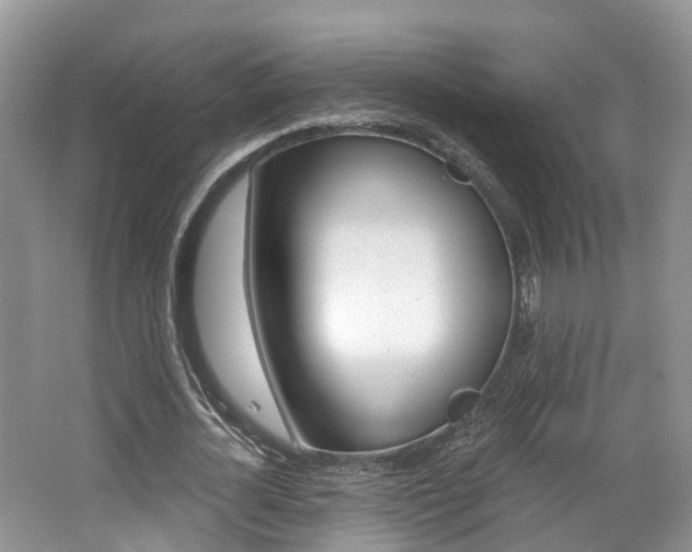 X0000062140724200512091016