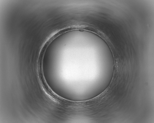X0000062140726200512091016