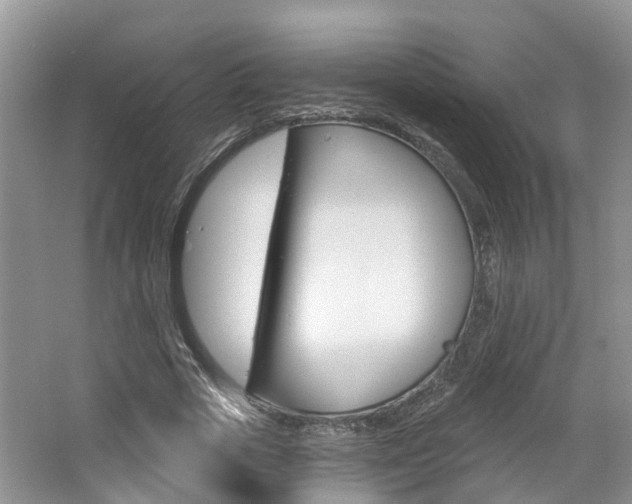 X0000062140729200512091016