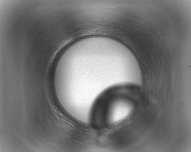 X0000062140731200512091016