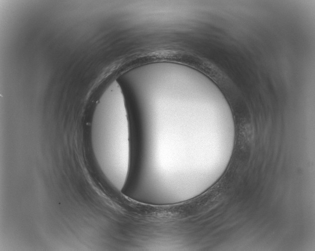X0000062140734200512091016