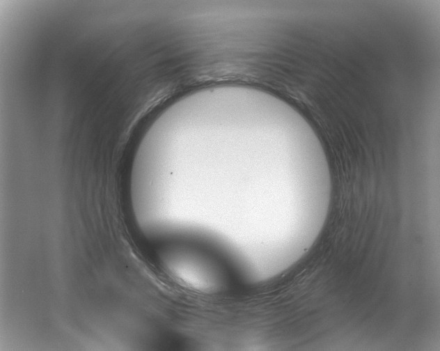 X0000062140735200512091016