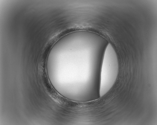 X0000062140736200512091016